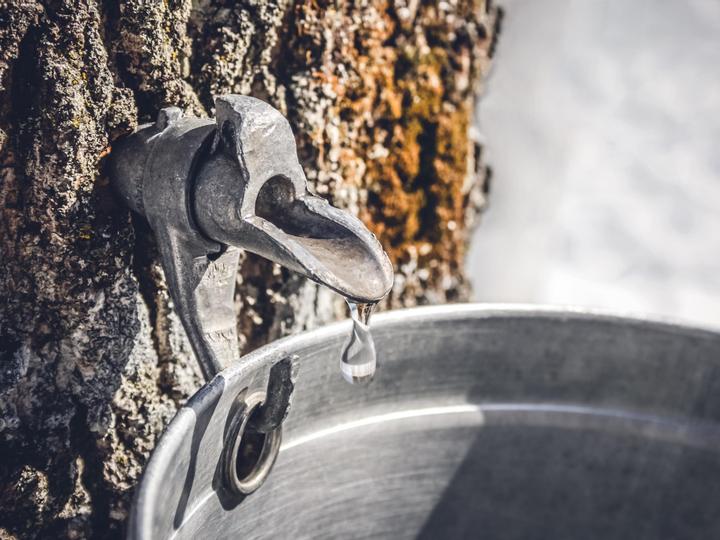 Inn on Prince Hotel and Conference Centre Truro | Truro | 9