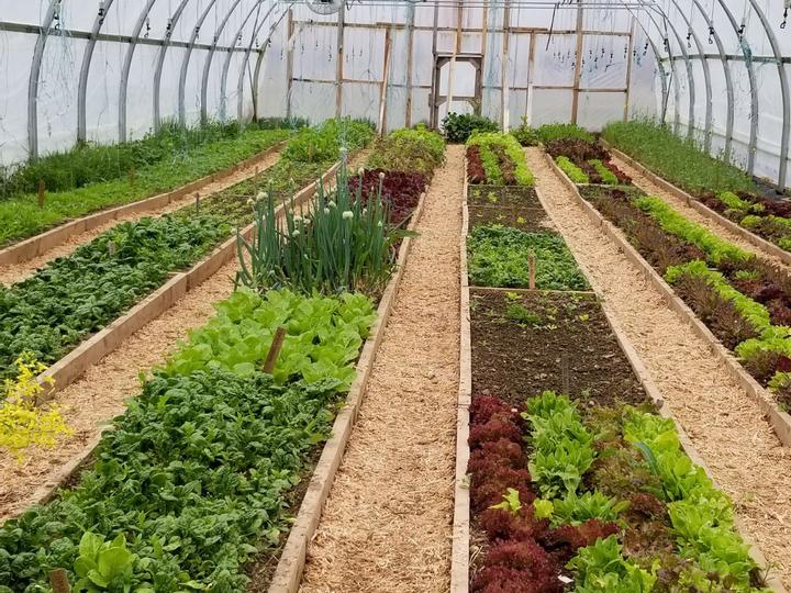 Inn on Prince Hotel and Conference Centre Truro | Truro | 17